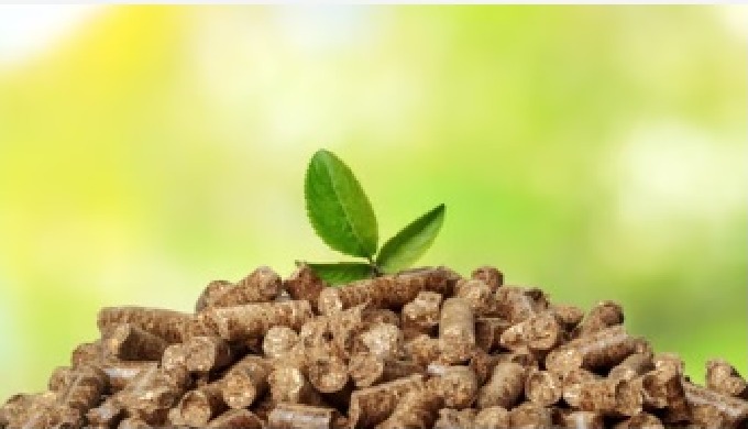 Asesoramiento para la utilización de calderas de biomasa.