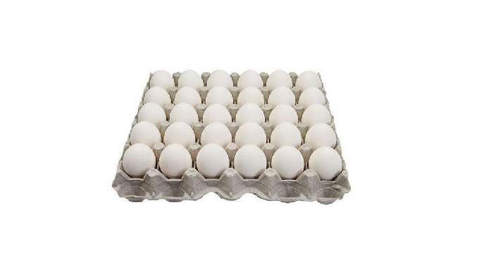 Organically produced eggs from healthy Hen in clean and healthy environment with natural proteins.