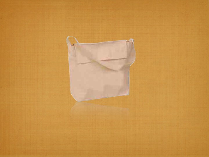 Bags made of 100% GOTS certified Recycled Organic Canvas fabric. Used widely in libraries, as promot...