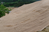 Eco-friendly product with reasonable prices through large production and apotimum constructability