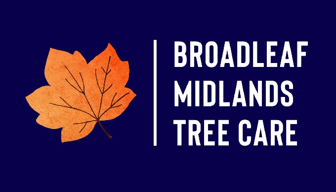 Broadleaf Midlands Tree Care is a family run, sustainable tree surgery company providing tree servic...