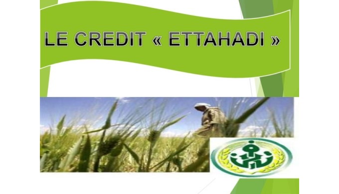 Le Crédit d’investissement « ETTAHADI » Il s’agit d’un Crédit d’investissement partiellement bonifié...