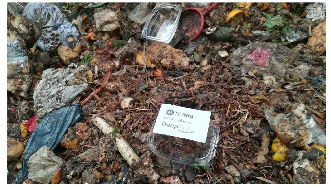 Procesos de compostaje