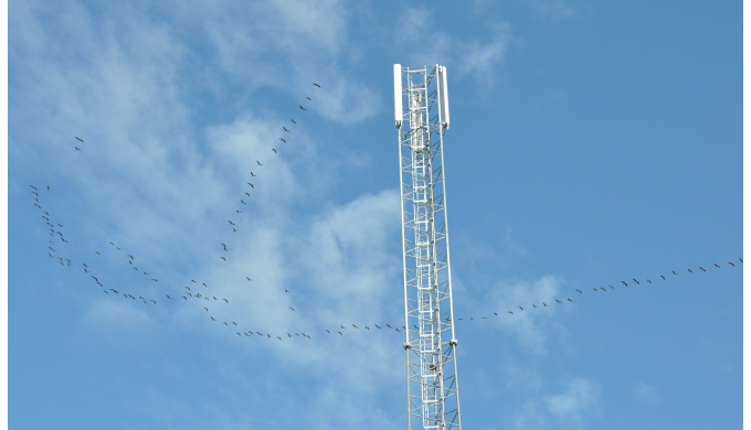 Monopoles - TEL towers