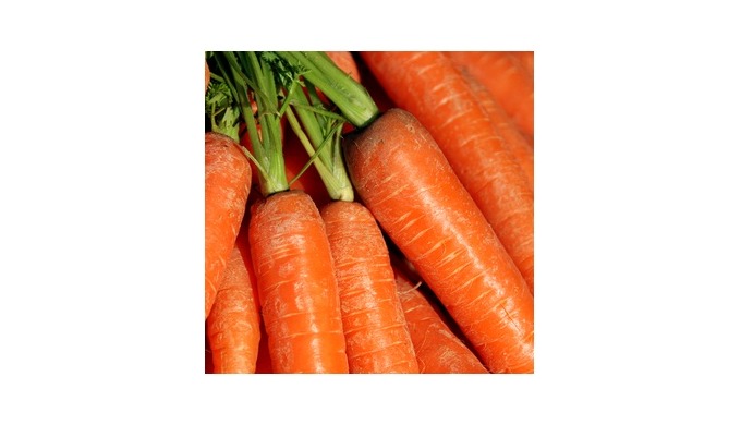 Style: Fresh Type: Carrot Product Type: Umbelliferous Vegetabless Variety: Umbelliferous Vegetables ...