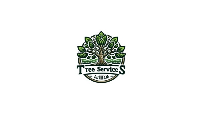 Tree Services Durham is a premier provider of professional tree care and maintenance services in Dur...
