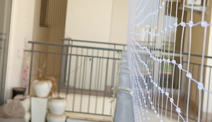 BIRD  CONTROL SERVICES - Anti bird net installation