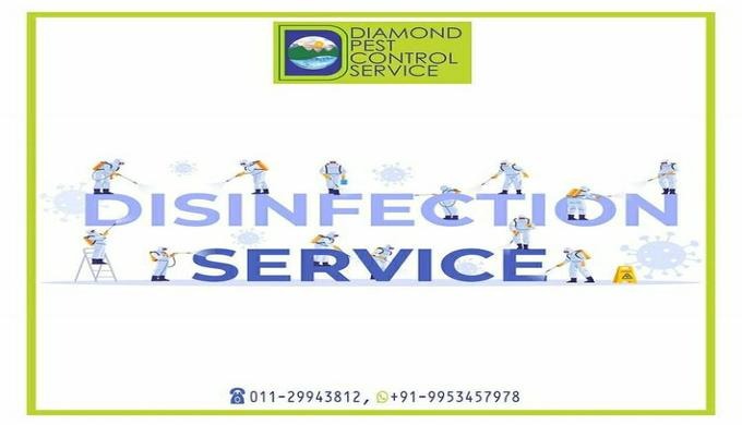 For over 20 years, Diamond Pest Control Service has earned the trust of residences and businesses. W...
