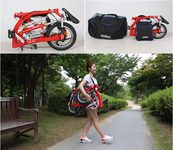 folding bike backpack