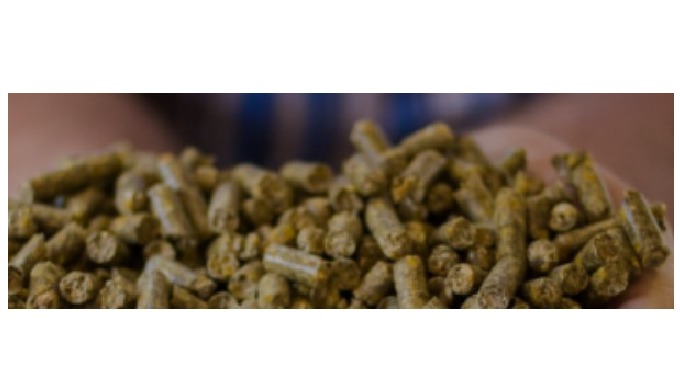 Aditivos Naturales Orgánicos para Pienso Animal LIPTOSA