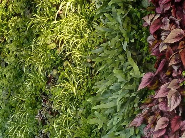 Valorizzare con il verde spazi non diversamente sfruttati incrementa sia il valore estetico, sia que...