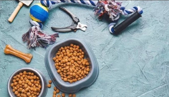 We follow an efficient process in pets’ delivery and we are confident that you will be contented wit...