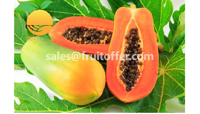Export Type: Frozen IQF, delivered in Container 20'FCL / 40'FCL Origin: Viet Nam Product Shape: Dice...