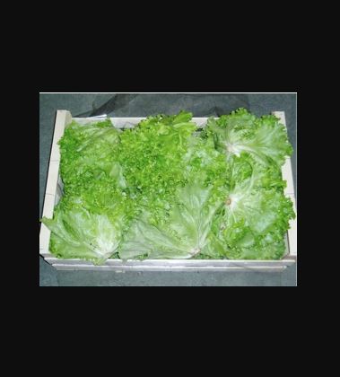 Salades GOUDET FERRIER