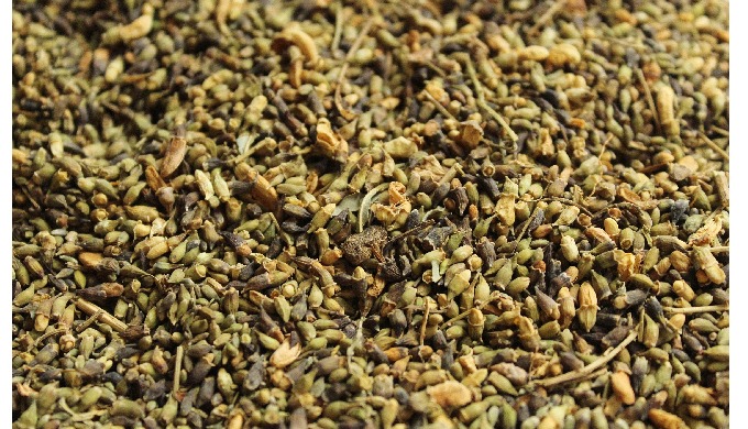 Type: Herbal Extract Form: Powder Variety: Sophora Japonica Flower Part: Flower Extraction Type: Liq...