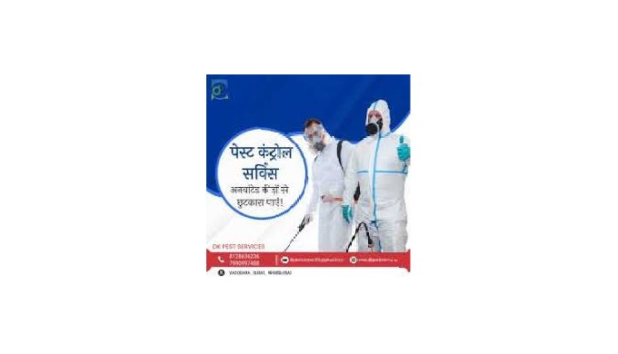 Best pest control services in Surat call dk pest and book service we are providing termite control,r...