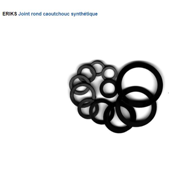 ERIKS Joint rond caoutchouc synthétique