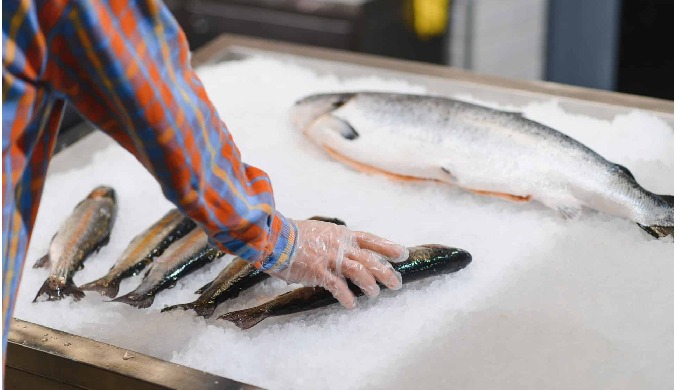 Glace paillette – Sac de 20 kg