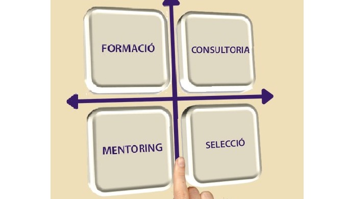 Servicios de consultoría, donde nuestras especialidades son: formación, con...
