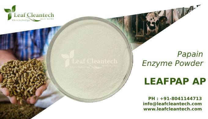 LEAFPAP AP is a plant Protease derived from the Papaya fruit. The unripe fruit is first tapped, and ...