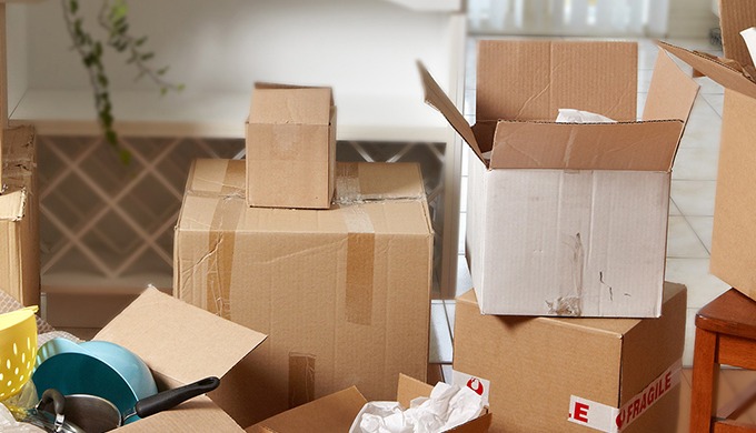 We are here to provide cargo services,loading and unloading services, car transportation services, h...