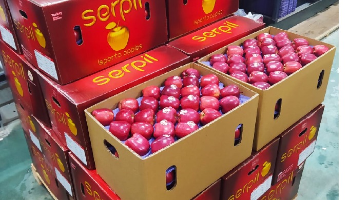 We produce and export high quality fresh apples