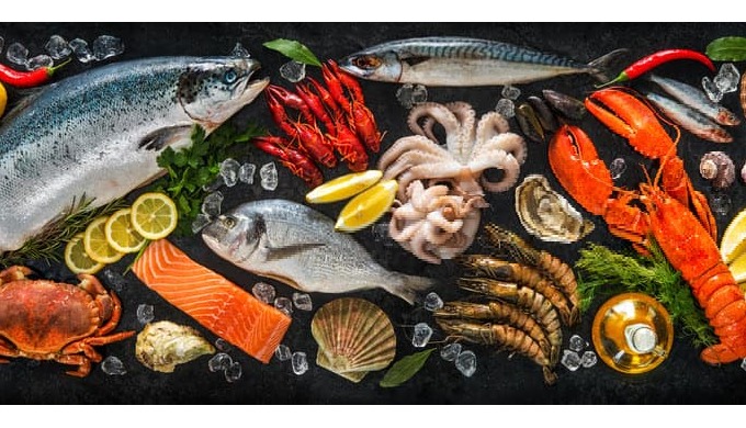 Top-quality Frozen Seafood in UAE for suppliers, and distributors,. We have variety of the finest pr...