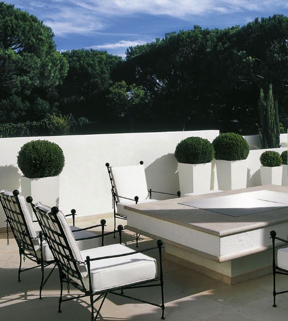 Arbustes et végétaux d’extérieur