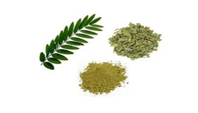 Senna Leaf is commonly known as senna or Alexandrian senna, and its scientific name is Cassia angust...