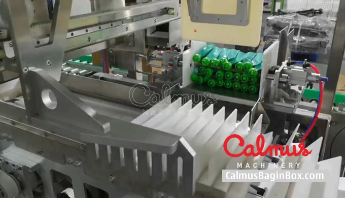 Carton Packaging Machine for Cartoning Doypack Pouches