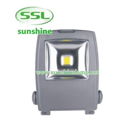 Die-casting aluminum housingAC or DC input optionsOptical grade diffused lensGraduated angle scaleBr...