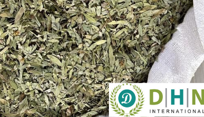 Description: DHN INTERNATIONAL “We will supply export quality clean Senna Leaves and Pods. We supply...
