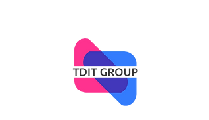 The TDIT Group a leading boutique tech firm provides digital marketing services to clients in the US...