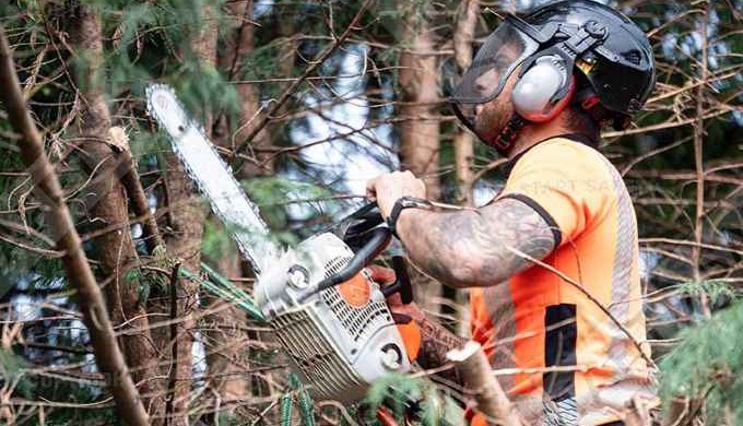 At Wigan Tree Services, we’re more than just a tree care and maintenance company – we’re your local ...