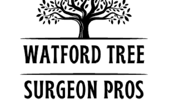 Welcome to the Watford Tree Surgeon Pros, for all your tree removal, pruning, trimming and stump rem...