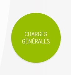 D.L. Developpement : audit sur les charges générales