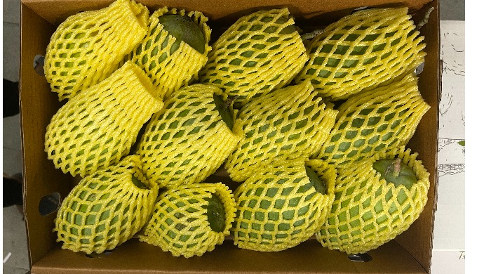 Kesar is a small to medium fruit with a roundish shape and a distinct curved tip. It has a relativel...