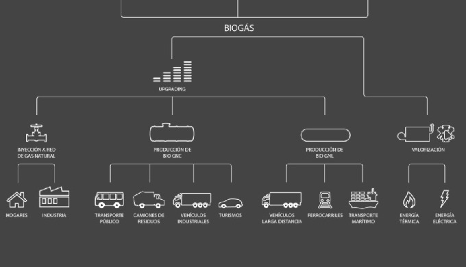 En Genia Bioenergy somos especialistas en el desarrollo de proyectos para l...