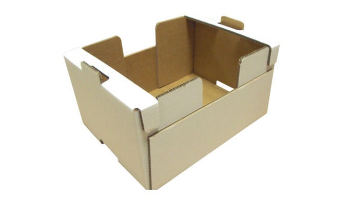 DMS Osman Çubuk Ltd. Şti. A Leader in Tray Forming Machines with Superior Quality & Accessibilit...