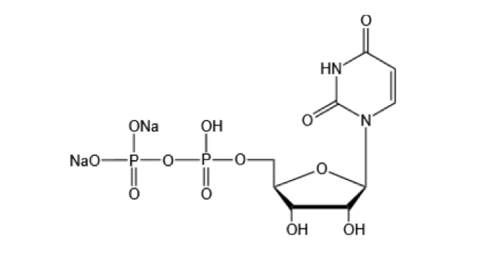 NameUridine 5'-diphosphate disodium salt CAS No.27821-45-0 Molecular formulaC9H12O12N2P2Na2 Molecula...