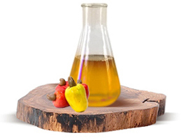 Cardanol is a naturally occurring Phenol in light pale yellow color manufactured from CNSL. It is a ...