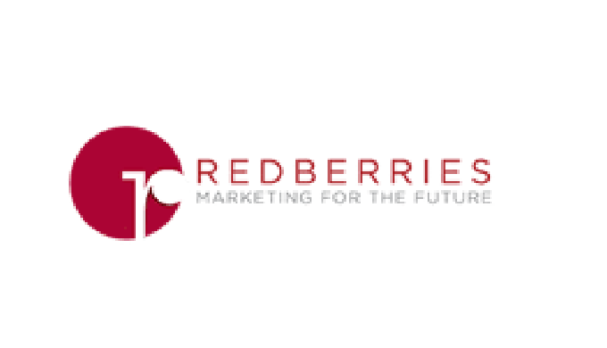 We Red Berries are a web design company in dubai. Whether your company needs a portal for your emplo...