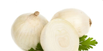 Dehydrated White GranulesDehydrated White KibbledDehydrated White MincedDehydrated White Powder