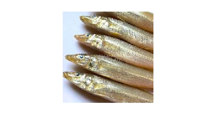 Type: Fish Style: FROZEN Part: Whole Packaging: Carton Shelf Life: 24 months Weight (kg): 1 Freezing...