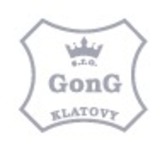 GONG Klatovy s.r.o.