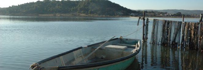 Conseil et service dans le domaine de la pêche