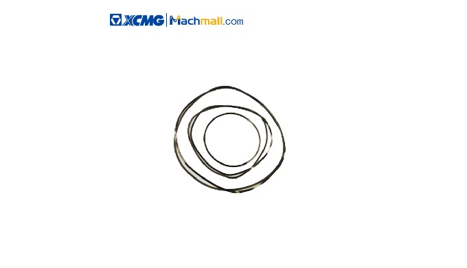 徐工官方装载机备件 2BS315 变速箱橡胶密封包 RZ*860167249 我们可以为您提供全新的二手机器以及徐工设备的备件。请随时与我们联系以进行进一步的沟通。徐工轮式装载机备件：履带板、机油滤清...
