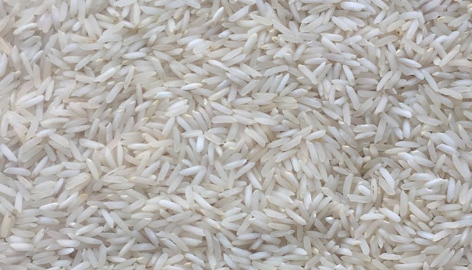 PR111 Non Basmati Rice is mostly grown in plains of Himachal Pradesh, Haryana and Punjab. Within Non...