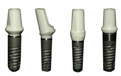 Zir-i (Zirconia Abutment) Zir-i is an abutment of an implant made of stabilized zirconia. It is appl...