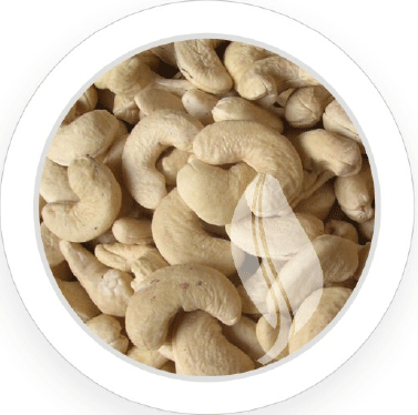Cashew Nuts from indiaq